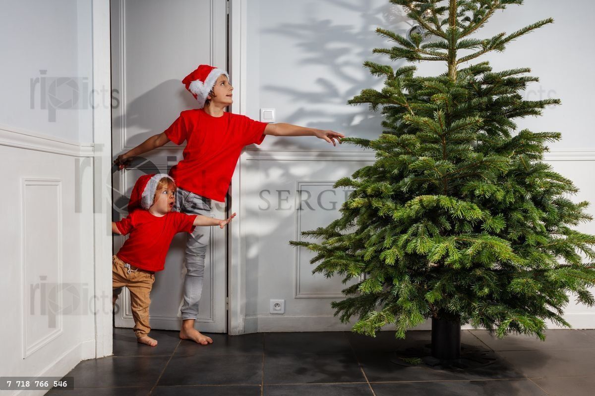 Kid and his brother looking out from doorway at Christmas tree