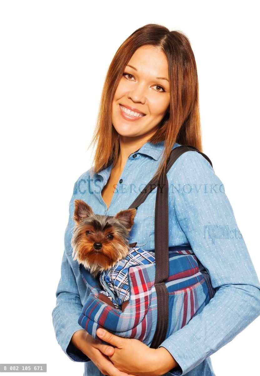 Yorkshire Terrier in dog's carrying bag with woman
