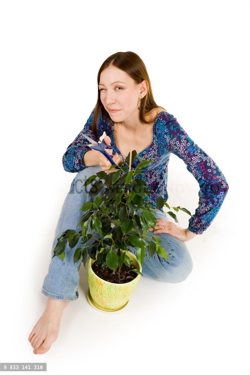 Woman sitting on the floor cutting plant