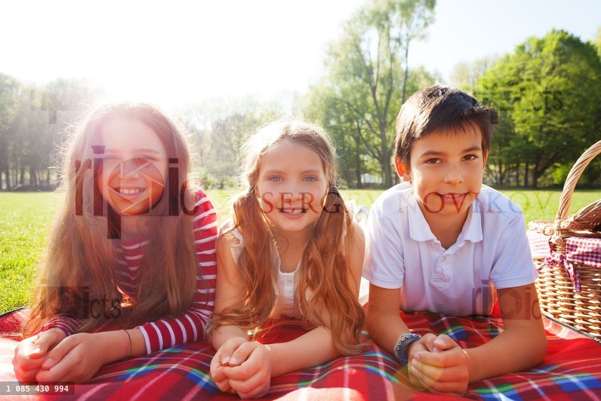 Friends laying on the picnic blanket at sunny day