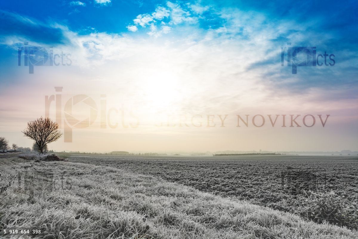 frost on the grass field at winter in France