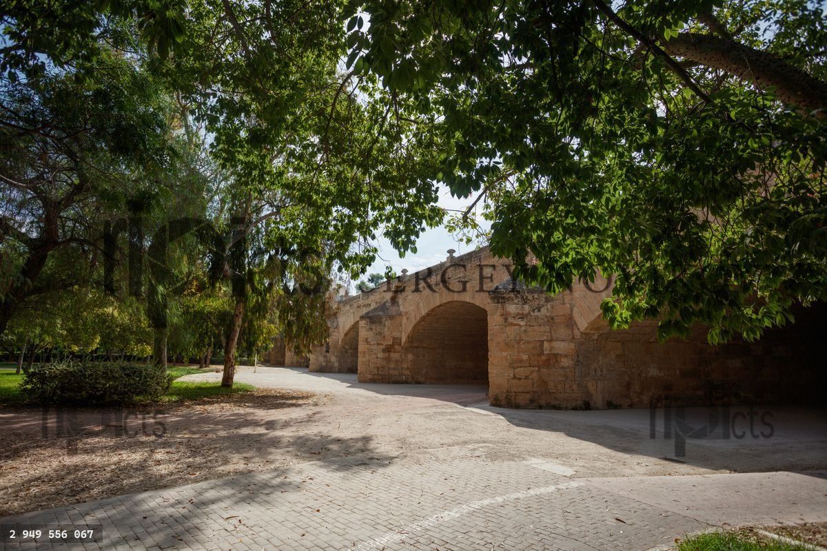 Bridge over Jardin del Turia, Valencia's park from old riverbed