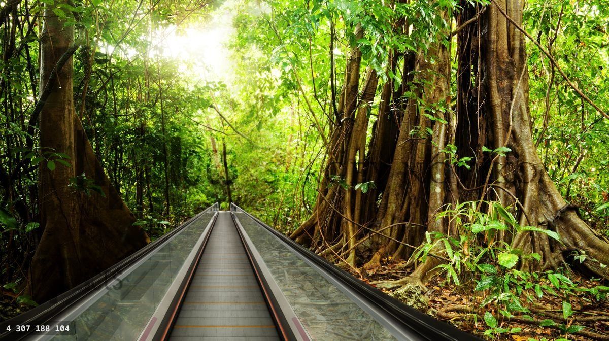 Bring rain forest to your business center