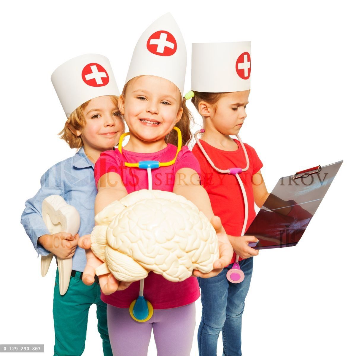 Doctors with x ray, tooth dummy and cerebrum model