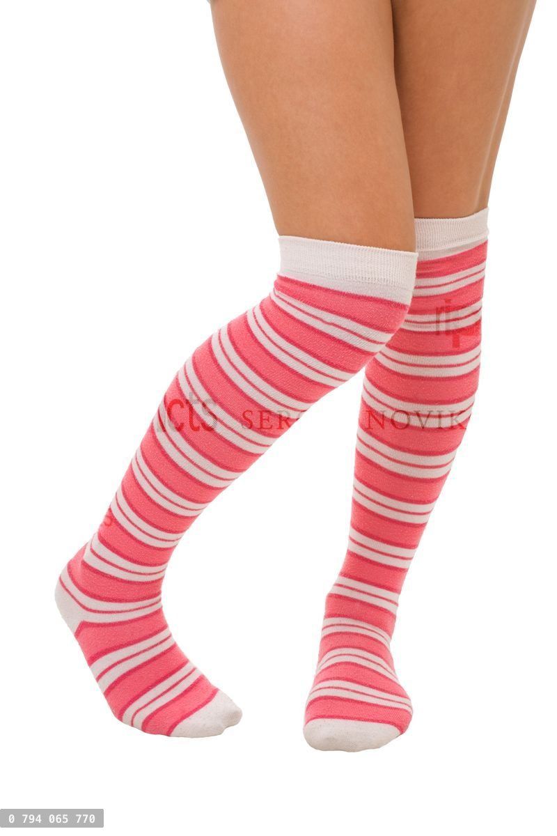 woman legs in color pink socks isolated