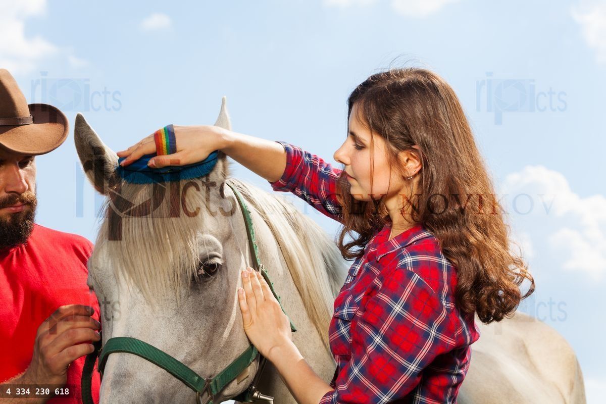 Young woman brushing her beautiful white horse