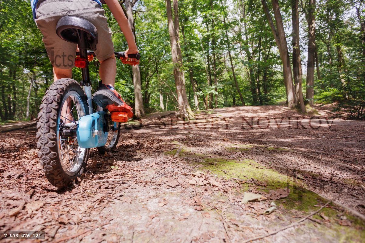 Young biker explore sunny woodland trail on his summer vacations