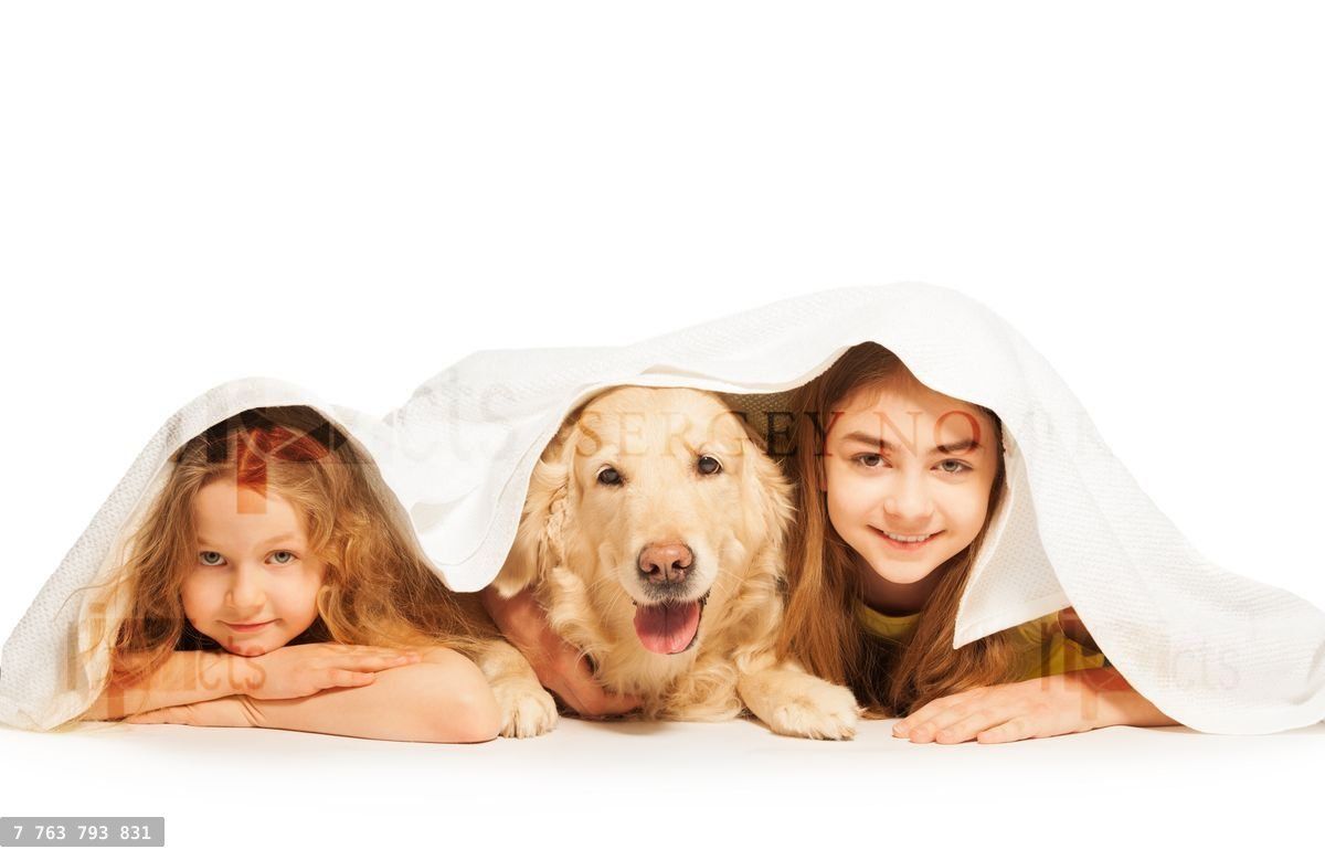 Funny girls and their pet covered with white towel