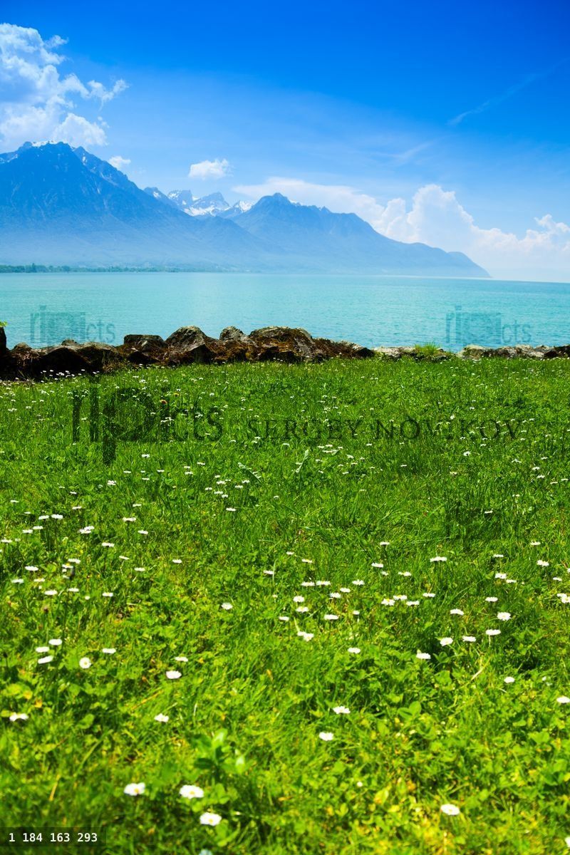 Geneva lake in summer