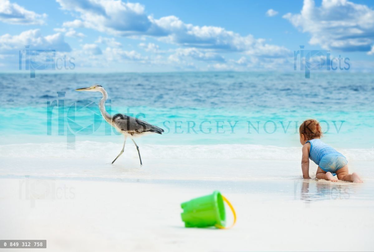 Fun baby games on the beach