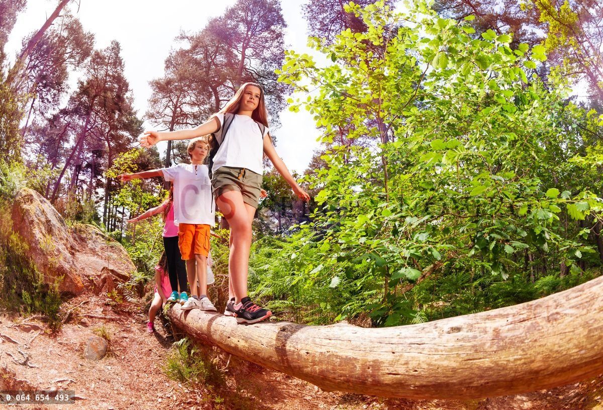 Boys and girls walk on the big log in forest