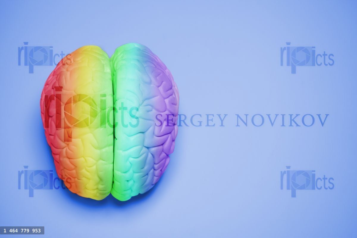 Gay rainbow colors lgbt brain concept on blue