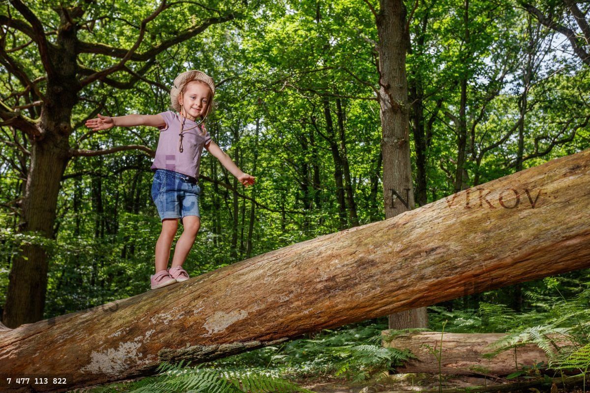 Girl enjoys adventure, walking on a huge log in sunny forest