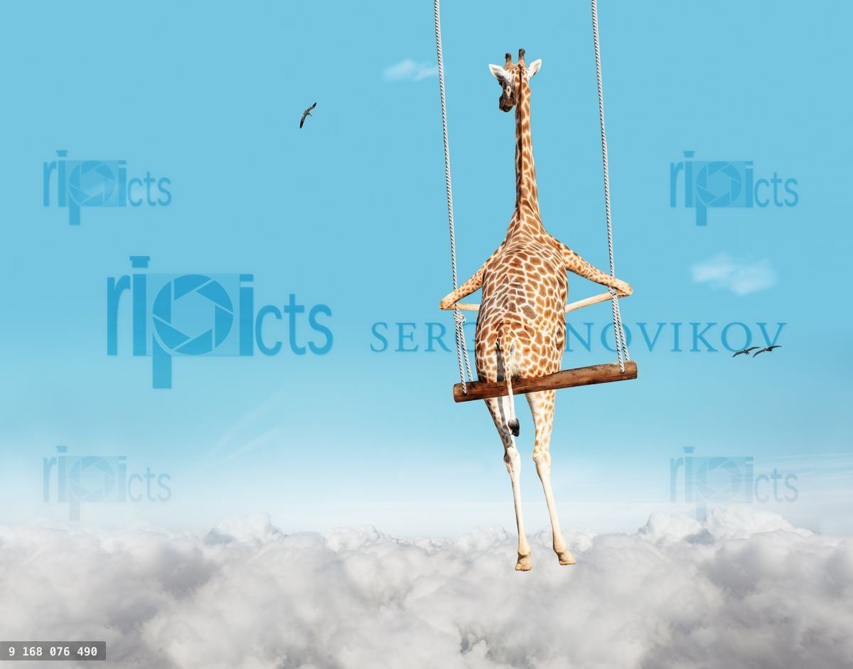Giraffe swinging on swing bar over blue sky with clouds