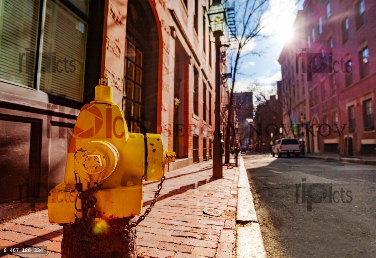 Yellow hydrant on downtown street of Boston