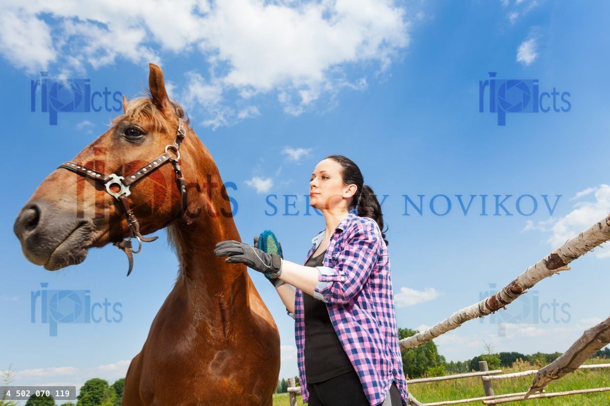 Woman grooming horse against blue sky background