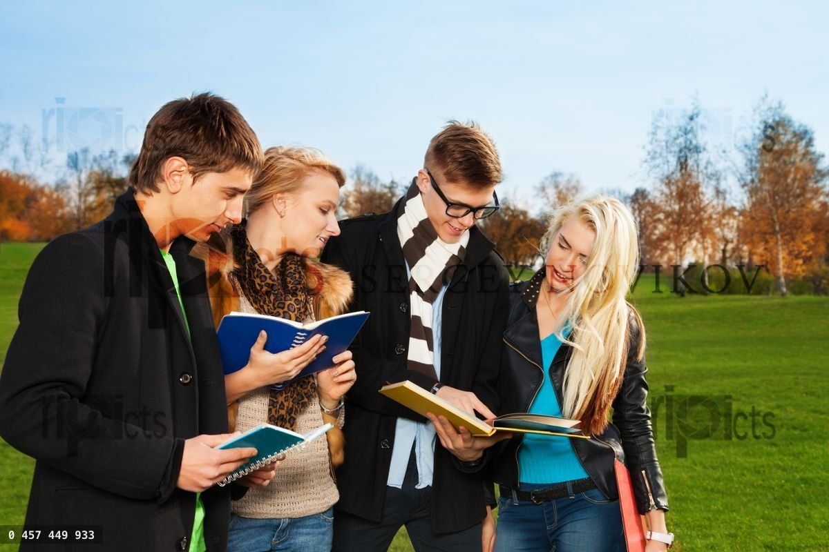 Four students discussing subject in the park