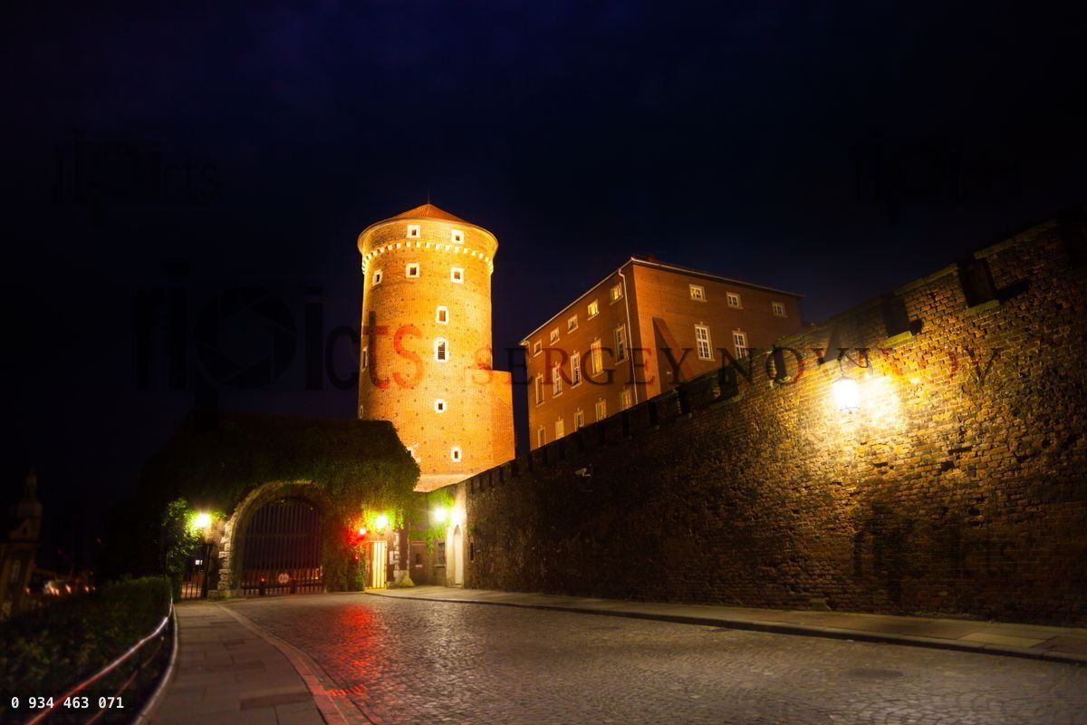 Gates of wawel Royal Castle in Krakow, Poland