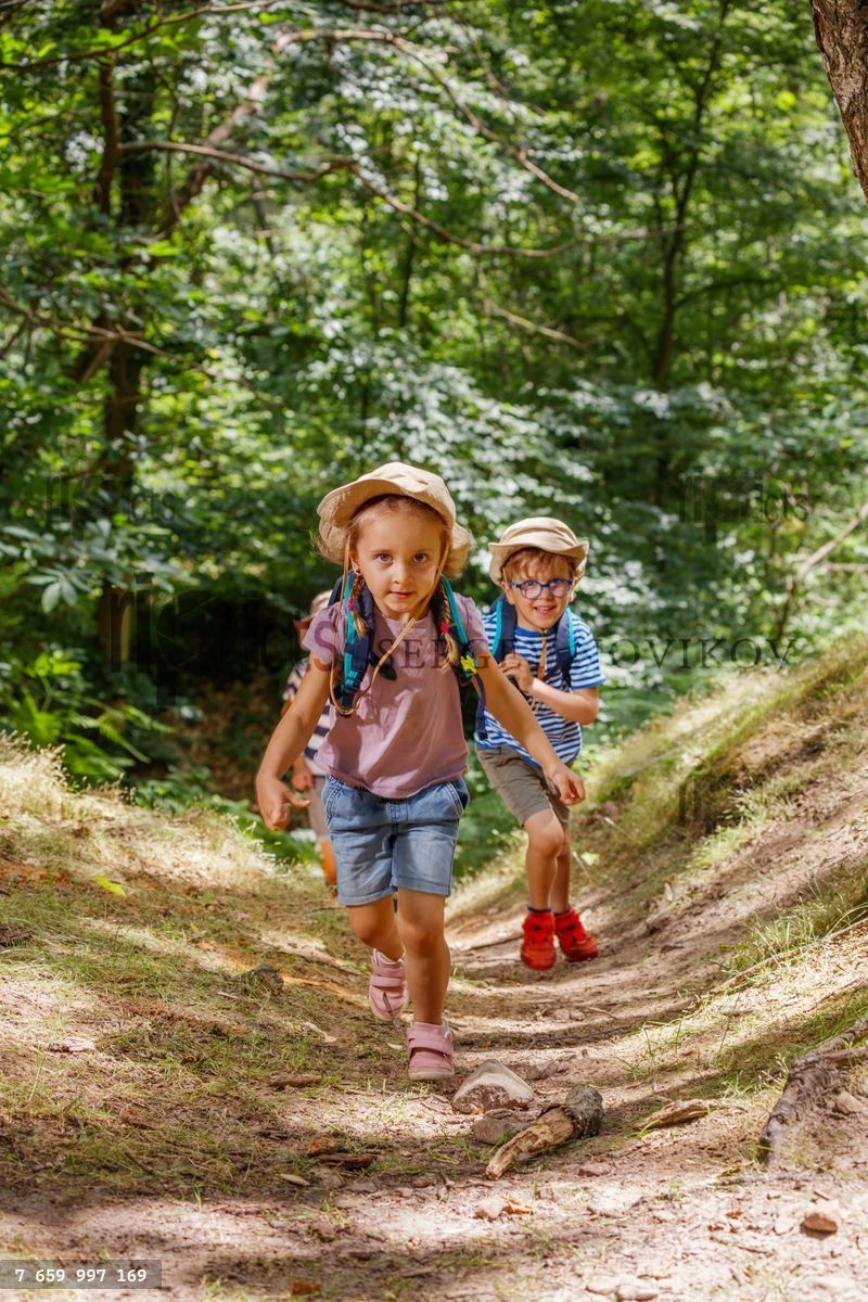 Young scout explorers hiking through a lush forest, having fun