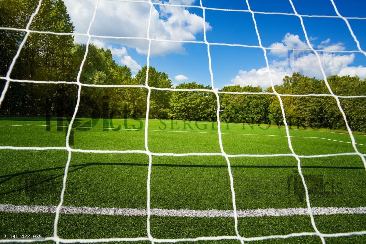 Gate net and small empty soccer stadium