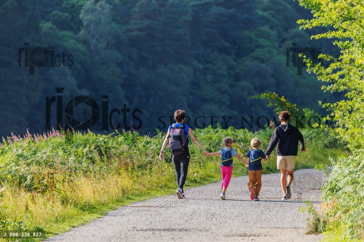 Four people enjoy peaceful nature walk in lush greenery, England