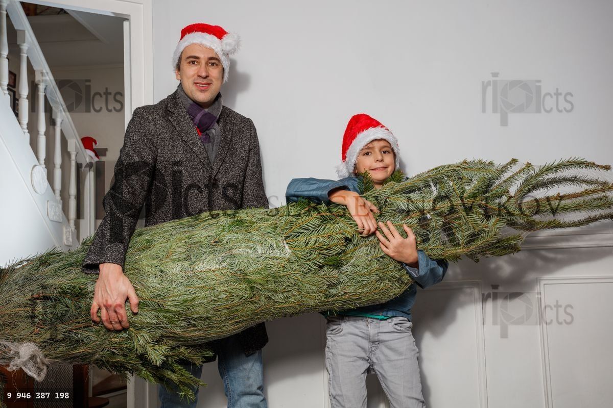 Smiling boy helps dad carry in their Christmas tree to decorate