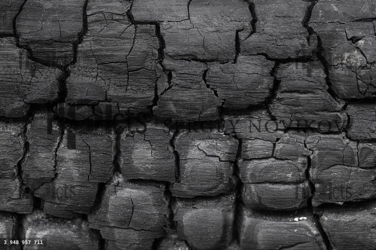 Black burned carbonized wood texture close up image