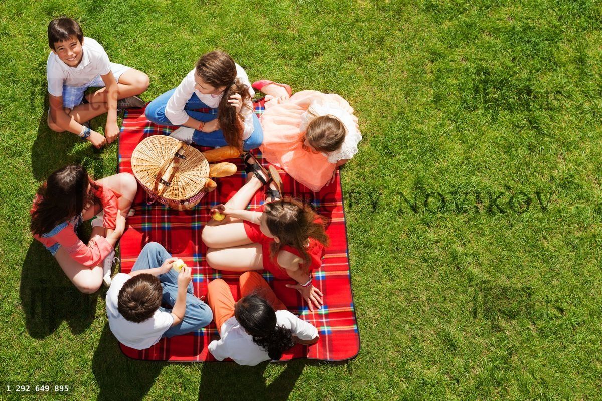 Friends sitting near picnic basket on green meadow