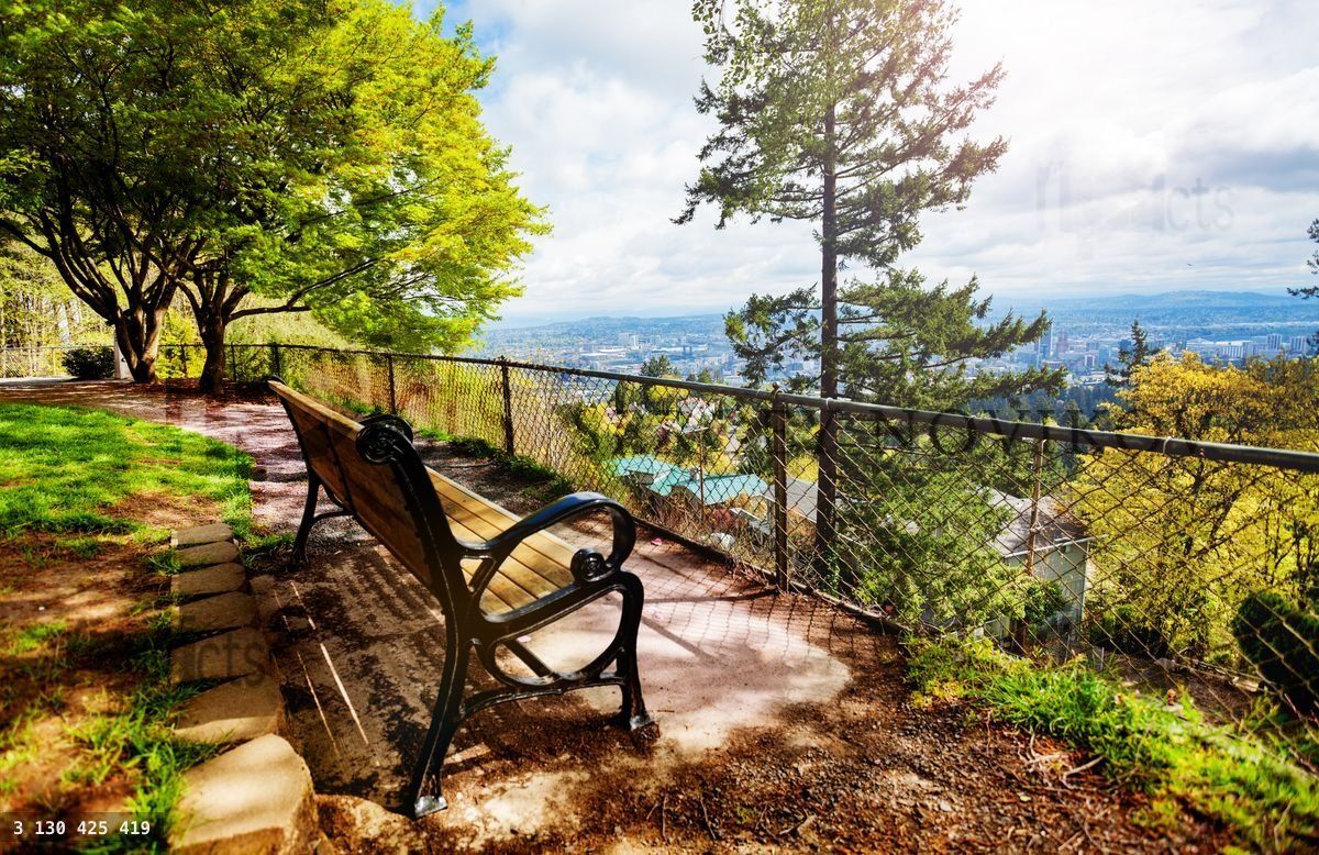 Wooden bench in beautiful park panoramic view