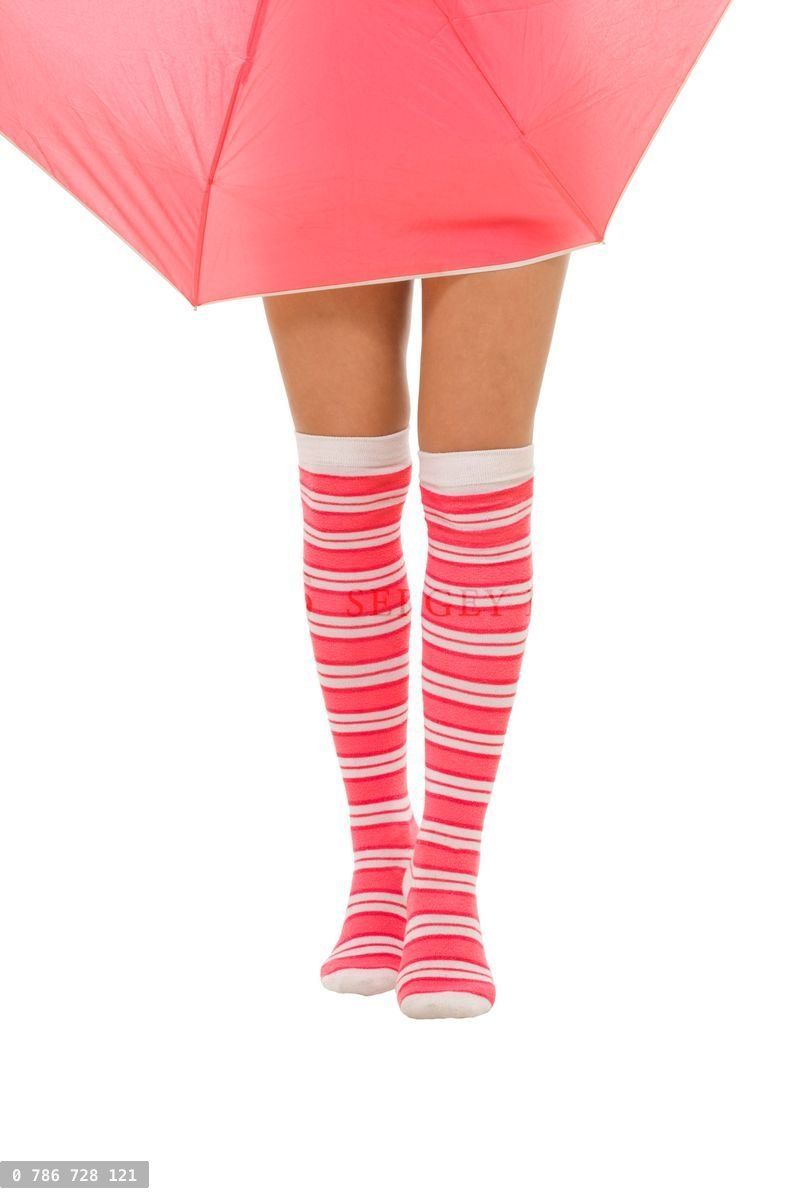 woman legs in color red socks with umbrella isolated