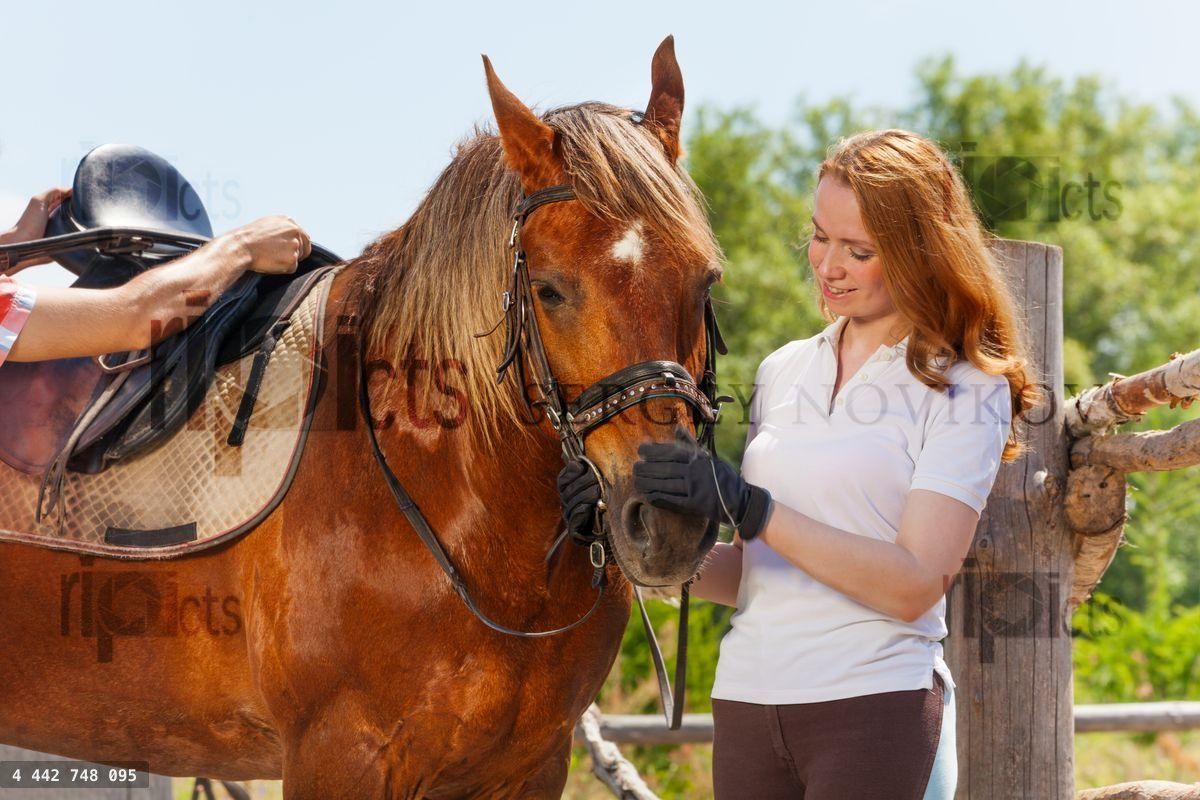Friendship of beautiful young woman and bay horse