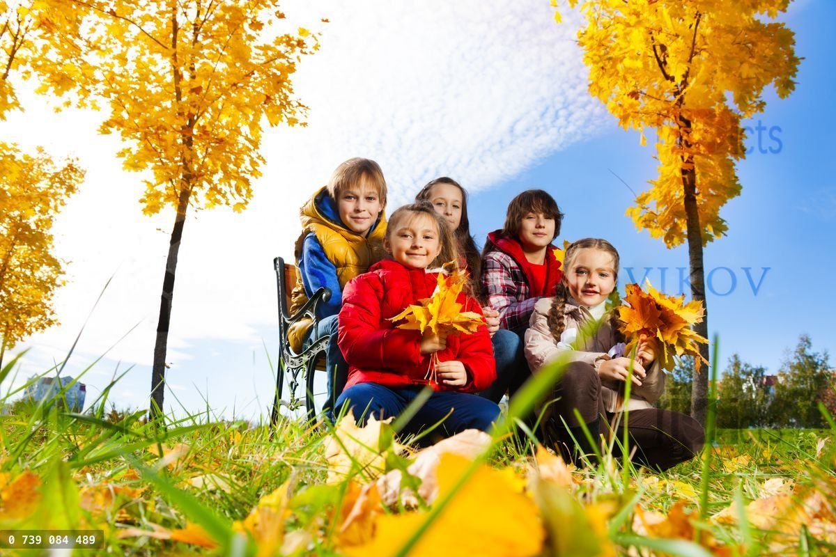 Group of kids under maple tree