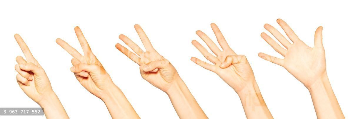 Hands with one, two, three, four and five fingers