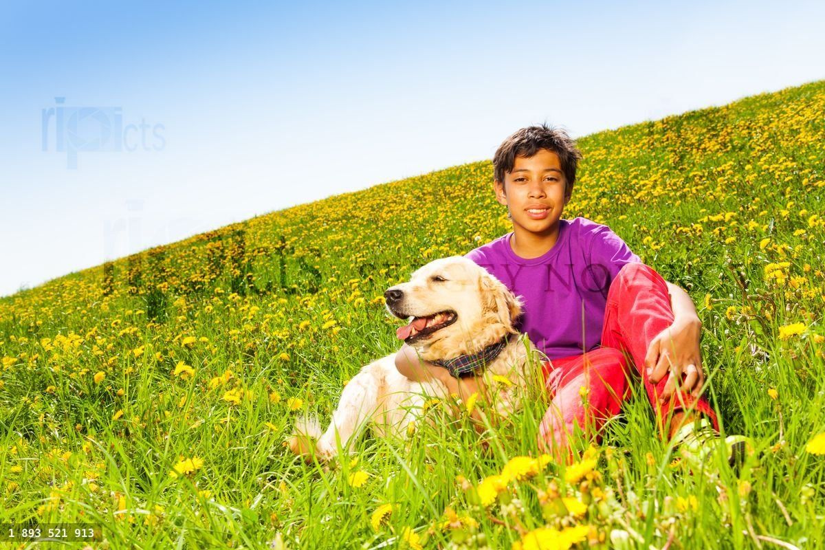 Boy hugging dog sitting on green grass in summer