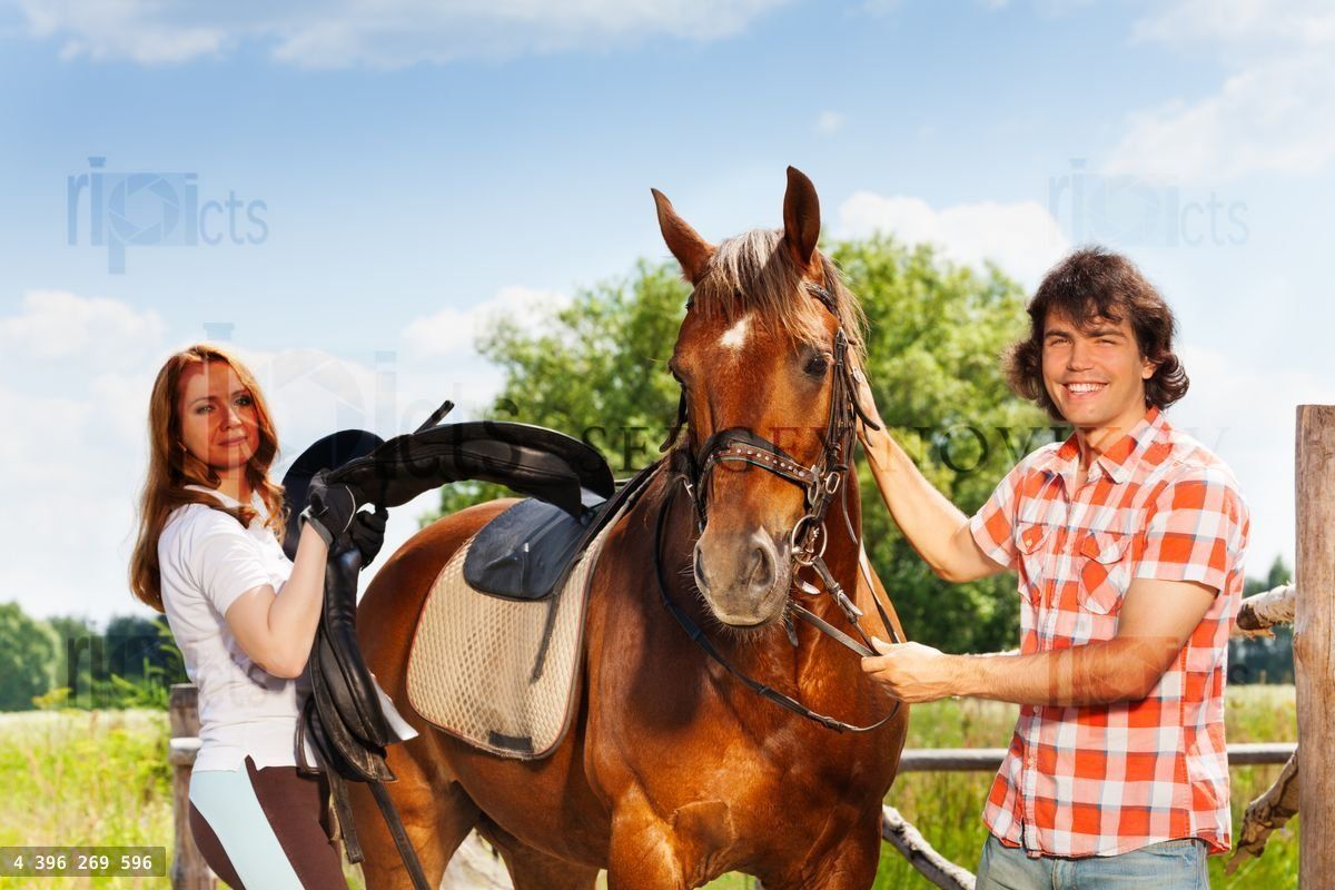 Young man and woman saddling their bay horse