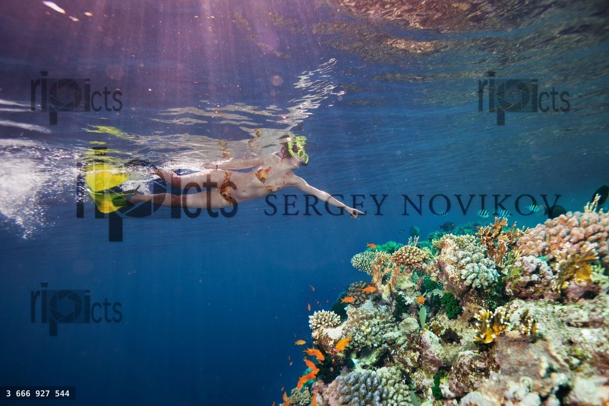 Woman scuba diver pointing to corals