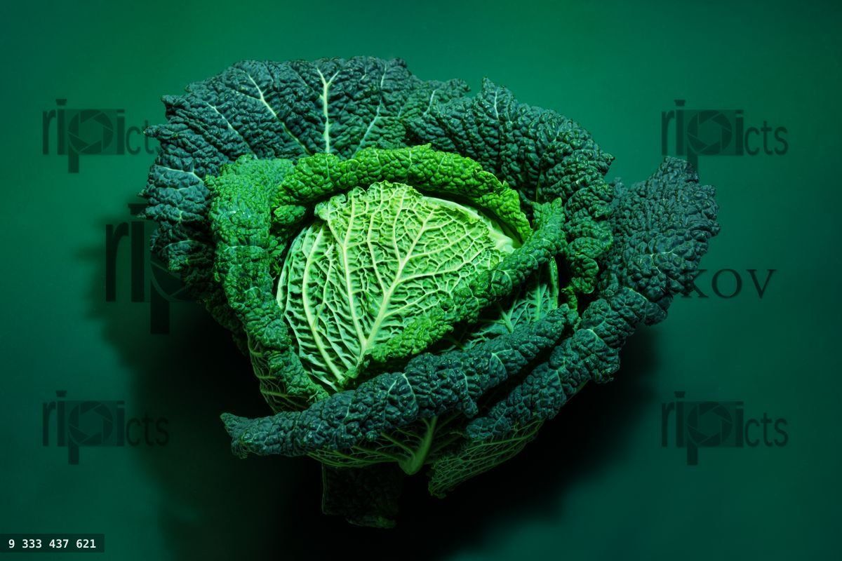Fresh beautiful savoy cabbage head over green background