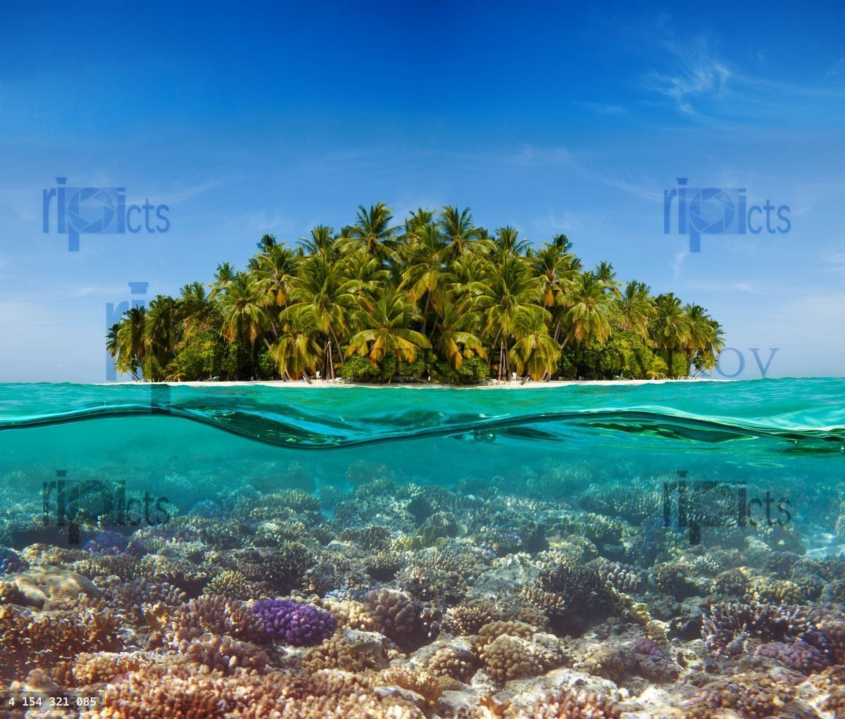 Coral reef and the Island