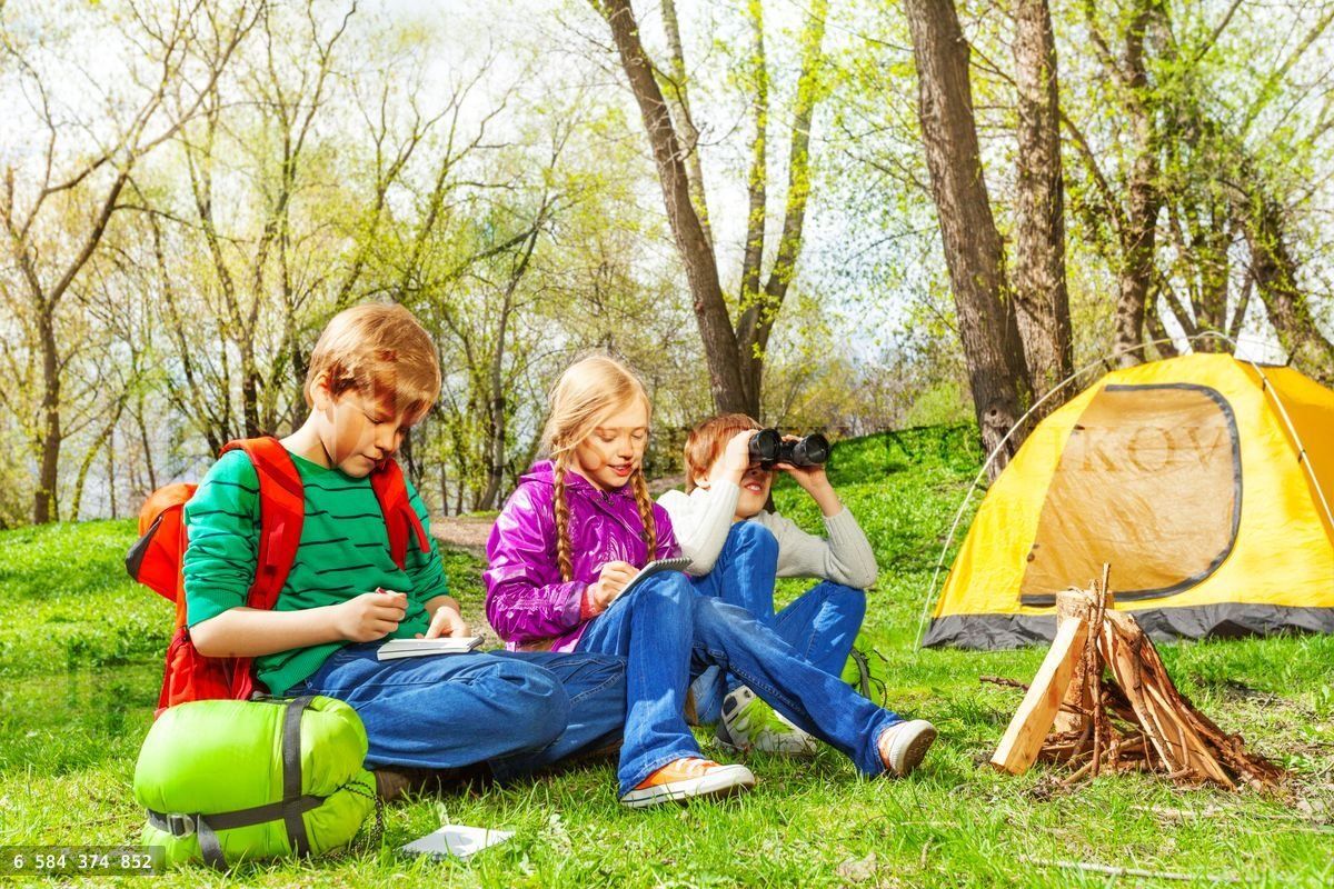 Happy children resting near the wooden bonfire