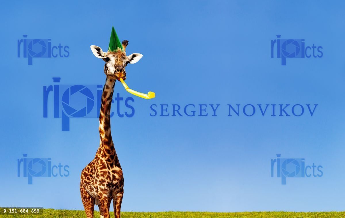 Giraffe blowing birthday whistle over blue sky