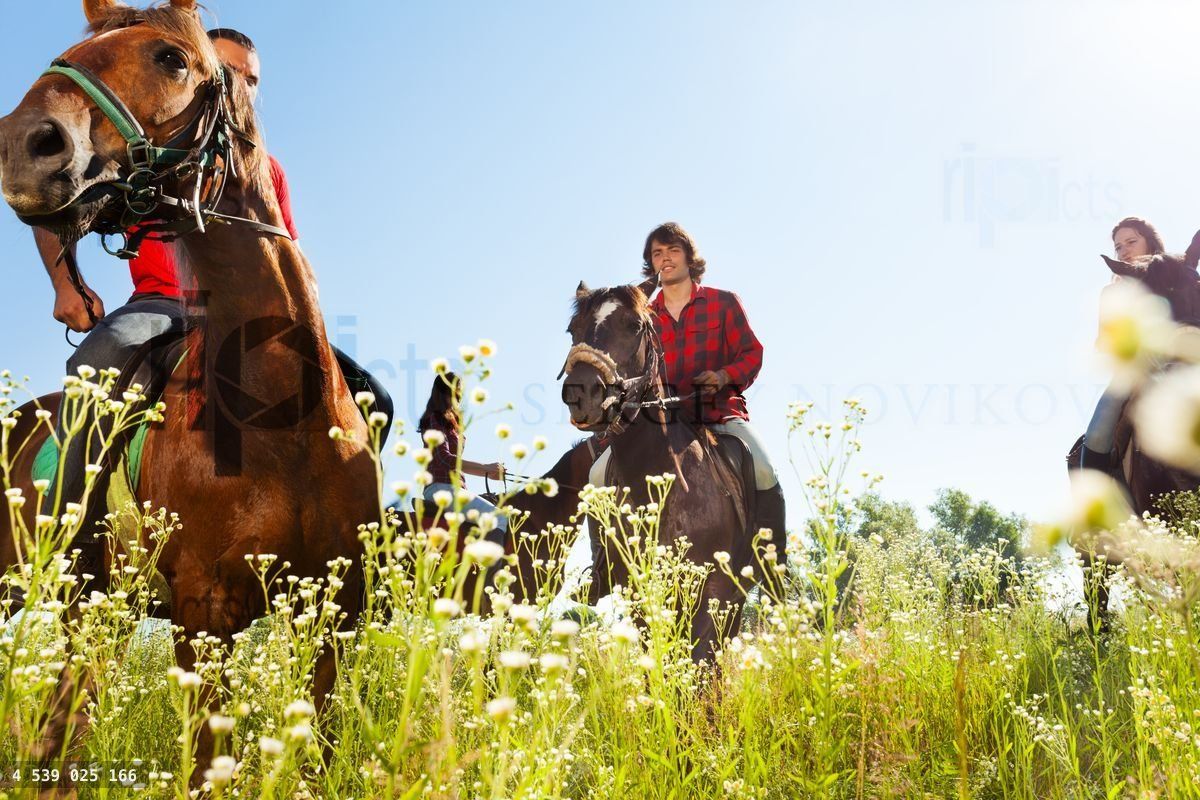 Young people riding bay horses in the meadow