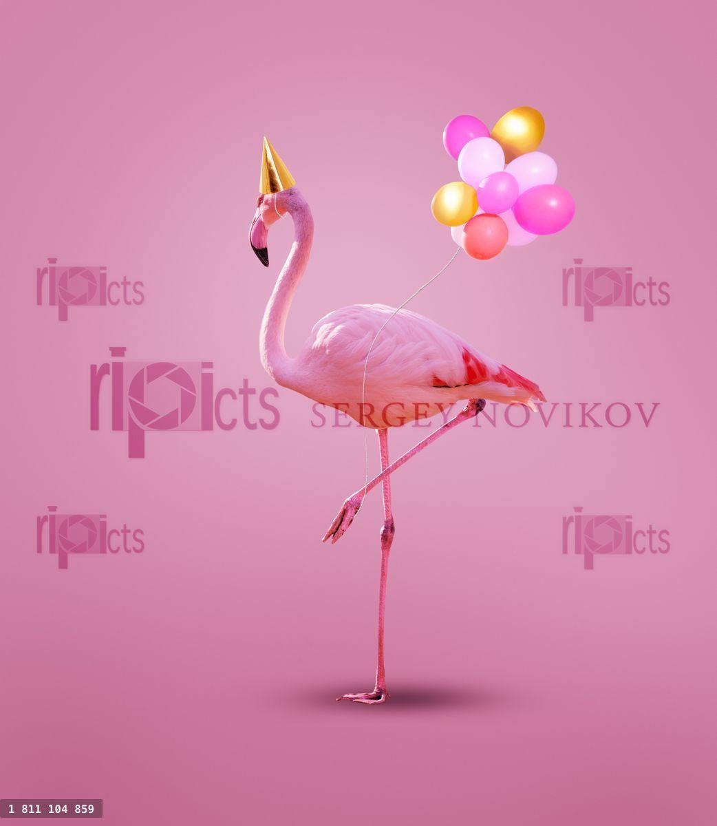 Roze flamingo met verjaardagsmuts en feestelijke heliumballonnen