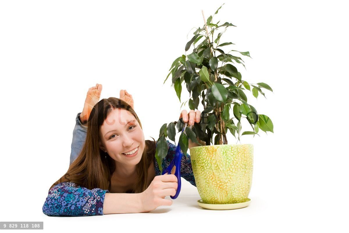 Woman laying on the floor cutting plant