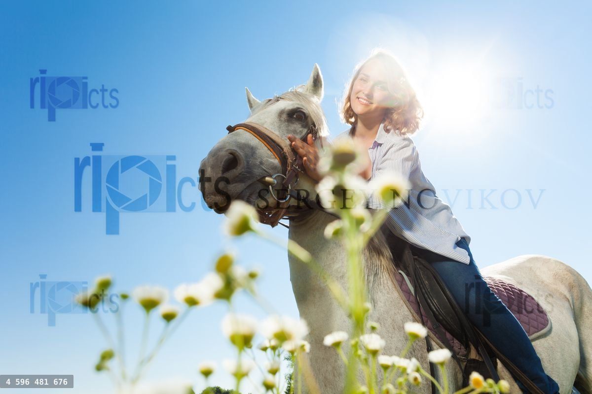 Young woman riding white horse in sunny summer day