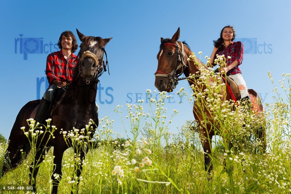 Young couple riding purebred horses at countryside