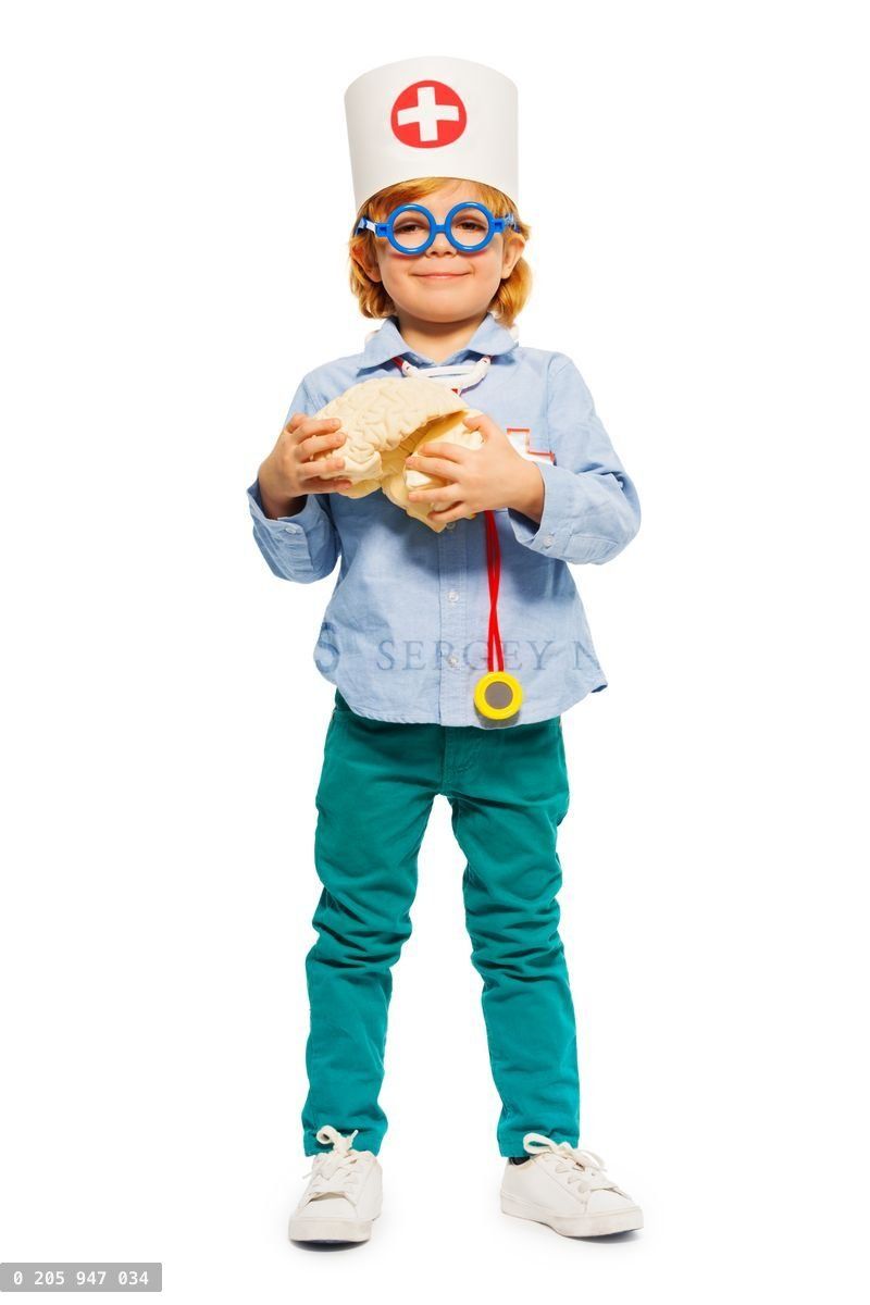 Young doctor in toy glasses with cerebrum dummy