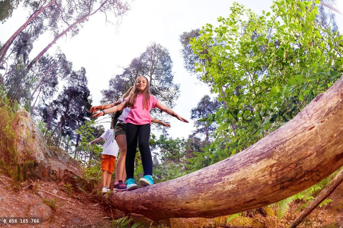 Group of kids walking over the long big wood log