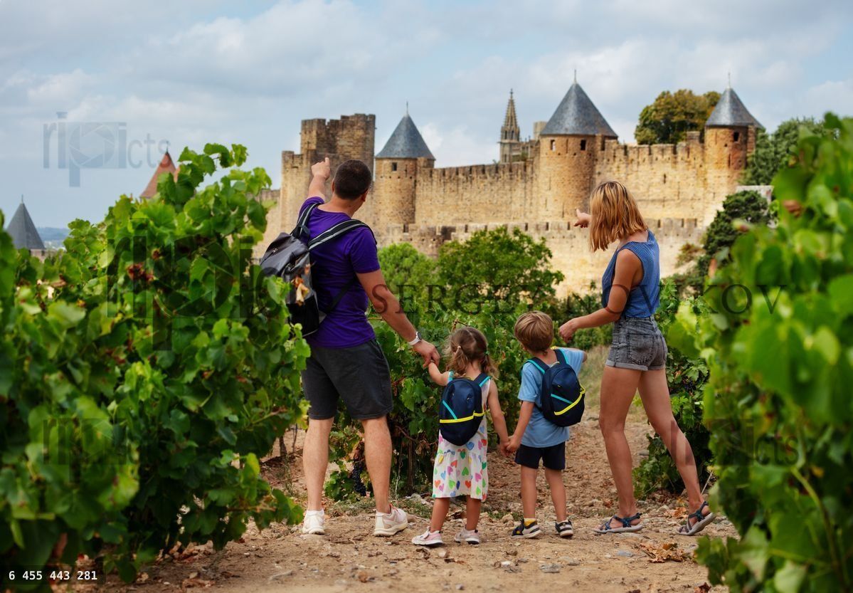 Famille avec enfants admirant la vue sur Carcassonne un jour d'été