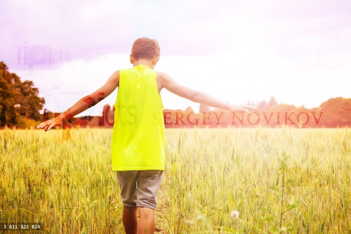 Young boy walk in the wheat field view from behind