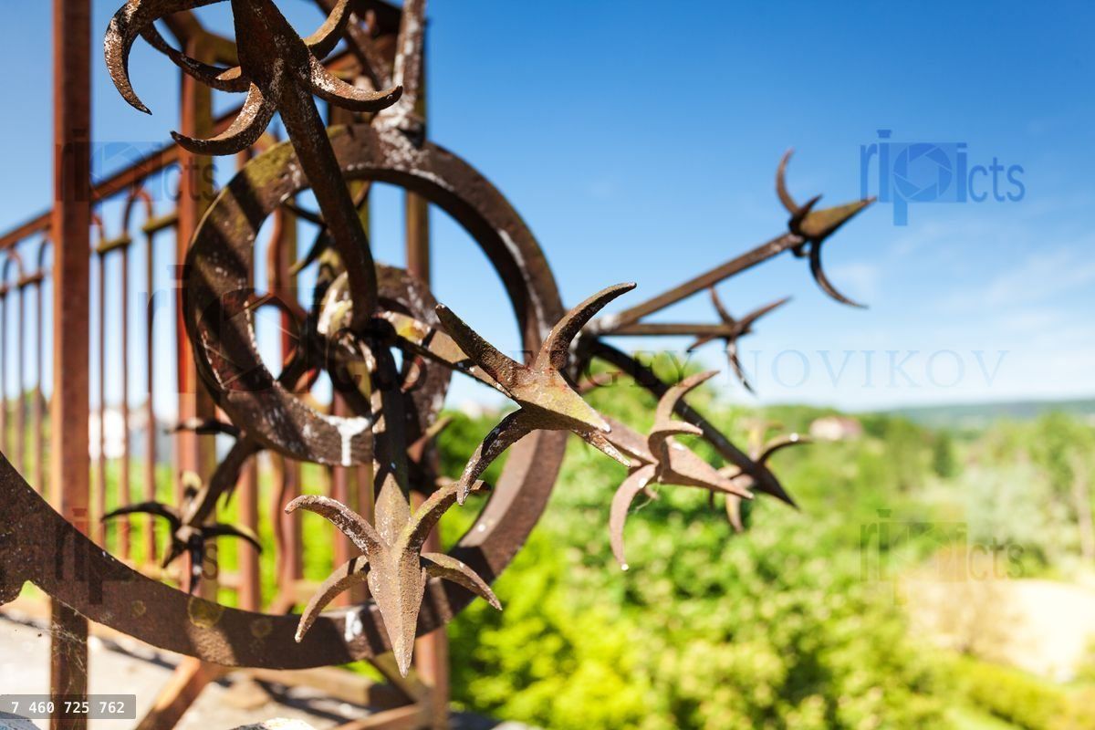 Wrought iron fence with artistic forging